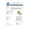 Image 3 : 2.50 CTW Certified Intense Yellow SI Diamond Solitaire Ring 10K Rose Gold - REF-579M2H - 33048