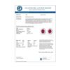 Image 3 : 4.44 CTW Ruby & Diamond Earrings 14K White Gold - REF-71F3N - 13832