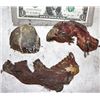 Image 1 : VIRUS LOT OF SCREEN USED GOLIATH SKULLS & GORE