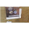 Image 2 : 2 BOXES OF BUGS LIFE COMPACKS