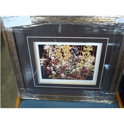 WILD FLOWERS 24743
