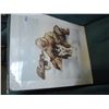 Image 1 : SIGNED LEP PRINT