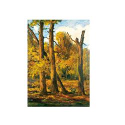 Bosznay, István (Csurgó, 1868 - Budapest, 1944), Wood 