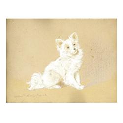 Rainerné Istvánffy, Gabriella (Budapest, 1875 - Budapest, 1964), Dog 