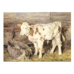 Edvi Illés, Aladár (Pest, 1870 - Budapest, 1958), Young Calf 