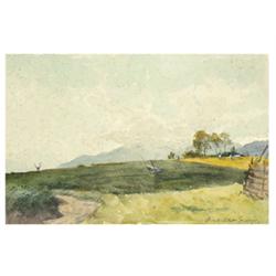 Háry, Gyula (Zalaegerszeg, 1864 - Budapest, 1946), Field 