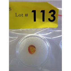 1 CT Orange Baltic Amber with Insect Inclusion