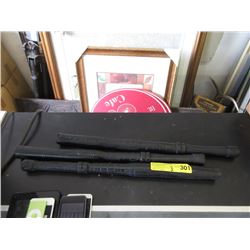 2 Plastic & 1 Rubberized Batons