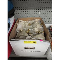 Large Box of New Incandescent Lightbulbs