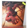 Image 1 : SPIDERMAN PICTURE
