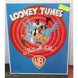 LOONEY TUNES PICTURE