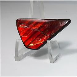 10 - RED FIRE AMMOLITE GEMSTONE