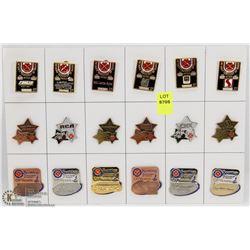 SHEET OF 18PC CURLING COLLECTOR PINS