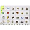 Image 1 : 24 COUNTIES ID'S MD'S  COLLECTOR PINS