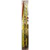 Image 1 : EXTENSION LADDER FIBERGLASS 22' FEATHERLITE