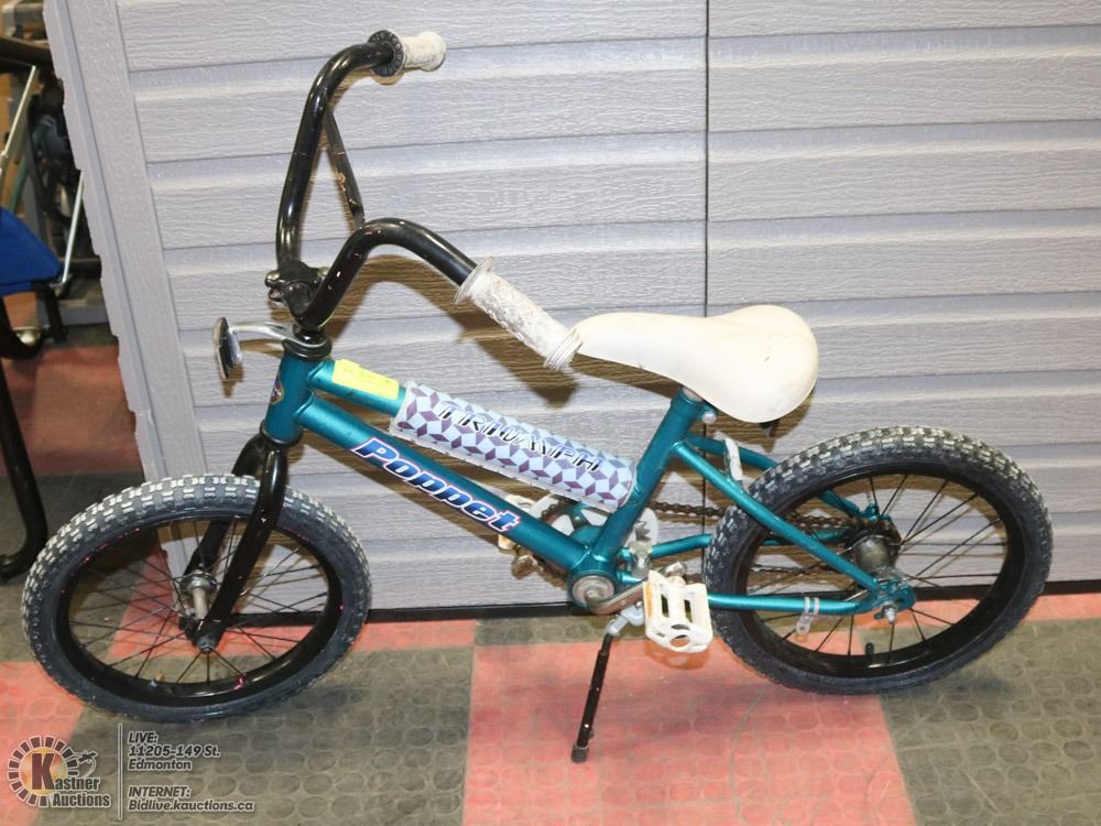 Triumph Kids Bike 16 Tires