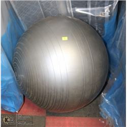 EXERCISE BALL