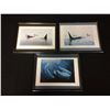 Image 1 : LOT OF 3 SIGNED AND FRAMED  BRUCE MUIR PRINTS