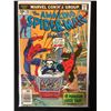 Image 1 : THE AMAZING SPIDER-MAN #162 (MARVEL COMICS)