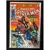 Image 1 : THE AMAZING SPIDER-MAN #171 (MARVEL COMICS)