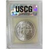 Image 3 : 1884-O Morgan Silver Dollar  UCCG MS