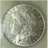 Image 1 : 1882-o/s Morgan Silver Dollar  USCG MS VAM 4
