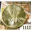 Image 1 : 1117 . 1995 American Silver Eagle, BU in capsule, value $35