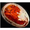Image 1 : 31.85 CTS MEXICAN FIRE OPAL IN HOST ROCK