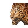 Image 1 : Signed Oil on Canvas Painting, Golden Leopard