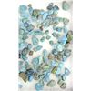 Image 4 : Polished Turquoise Nuggets