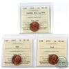 Lot of ICCS Certified 1-cent MS-66 Red - 1965 Canada LgeBds Blt 5 1-cent, 1967 Canada 1-cent, 1972 C