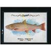 Image 1 : 15-16 Upper Deck Champ's Fish #F9 Bull Trout