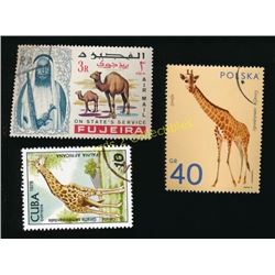 Lot Of 3 Foreign Giraffe & Camel Stamps