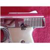 Image 10 : RAVEN ARMS MP-25/H/25