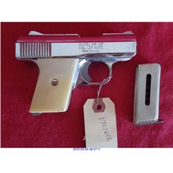 RAVEN ARMS MP-25/H/25