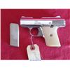 Image 2 : RAVEN ARMS MP-25/H/25