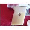 Image 7 : RAVEN ARMS MP-25/H/25