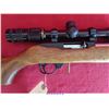 Image 11 : RUGER 10-22