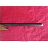 Image 13 : RUGER 10-22