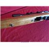 Image 19 : RUGER 10-22