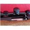 Image 24 : RUGER 10-22
