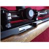 Image 26 : RUGER 10-22