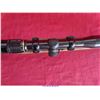 Image 27 : RUGER 10-22
