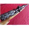 Image 28 : RUGER 10-22