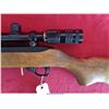 Image 7 : RUGER 10-22