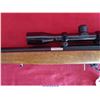Image 8 : RUGER 10-22