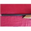 Image 9 : RUGER 10-22