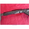Image 15 : RUGER 10-22