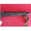 Image 9 : RUGER 10-22