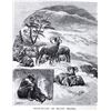 Image 10 : The Mountains of California by John Muir 1898